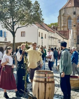 besucher stadtmauerfest nördlingen 2025