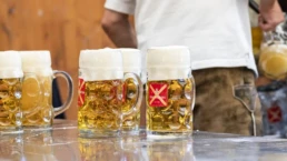 n&ouml;rdlinger festbier in f&uuml;rst wallerstein ma&szlig;kr&uuml;gen